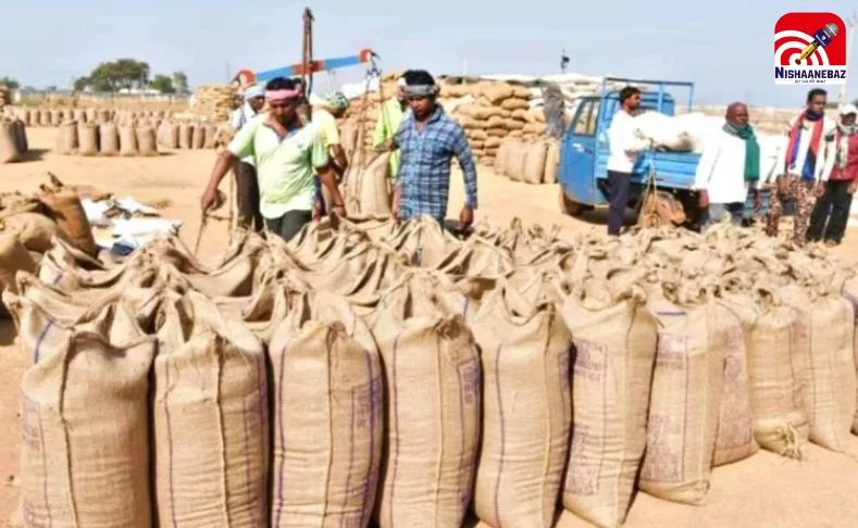 Chhattisgarh Dhaan Kharidi 2025 : सीमा पार से धान तस्करी पर शिकंजा : यूपी के बिचौलिए 143 बोरी जंगल में छोड़ भागे….