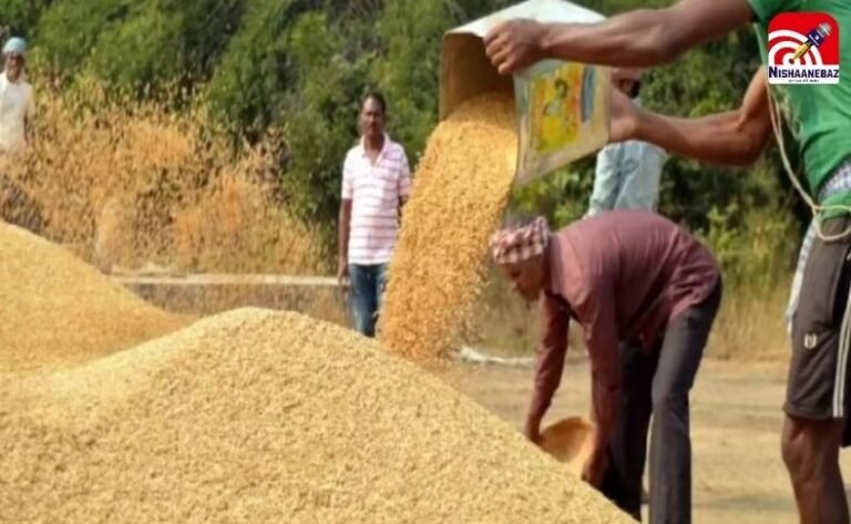 Chhattisgarh Dhan Kharidi Update