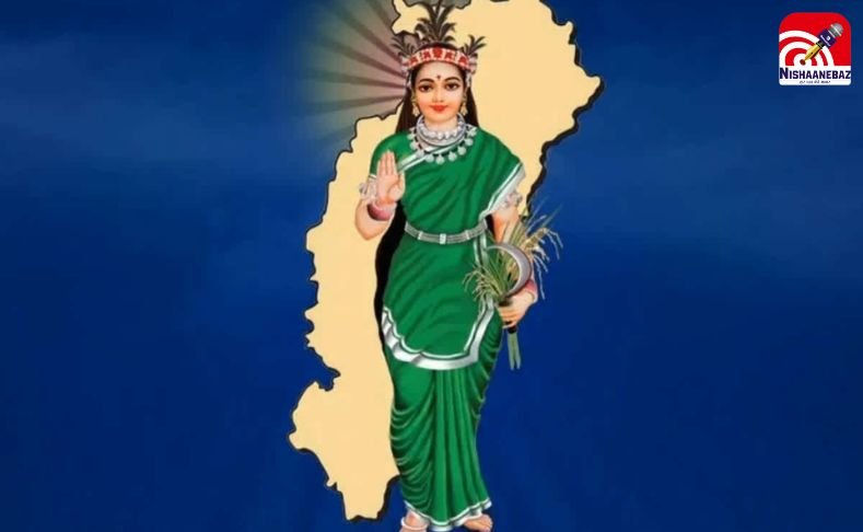 Chhattisgarh Mahtari Statue Controversy