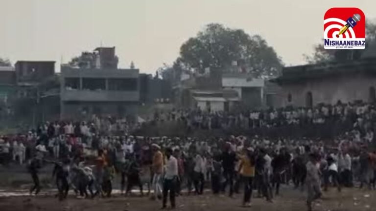 bloody conflict : पाड़ों की टक्कर बनी खूनी संघर्ष का मैदान, महल गुराड़ा गांव में पत्थरबाजी से 5 लोग घायल