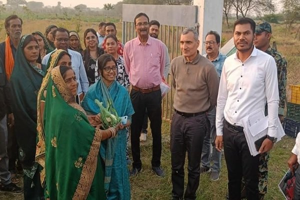 Mahila Shg : महिला SHG का सब्जी उत्पादन मॉडल बना मिसाल-अधिकारियों ने की प्रशंसा