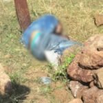 Manpat Murder Case
