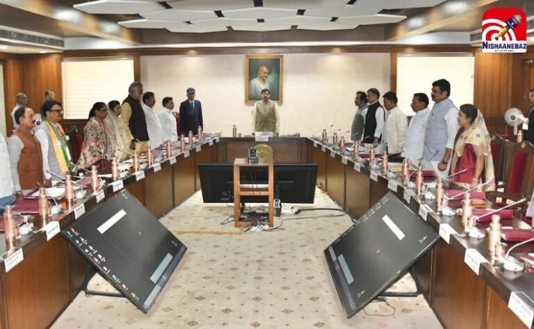Mohan Cabinet Decisions