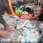 Pratapgarh Gangster Raid