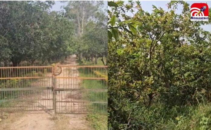 Rewa Kuthulia Fruit Research Center Rewa Kuthulia Fruit Research Center