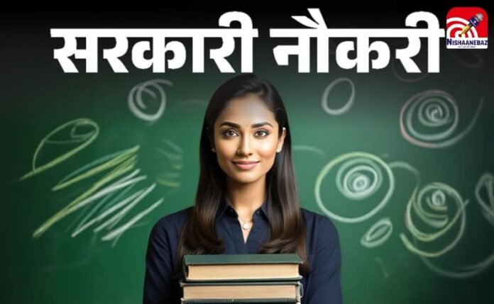 Sarkari Naukari (2) Sarkari Naukari