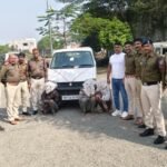 Shajapur Police Operation