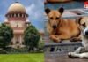 Supreme Court : एक्सप्रेस-वे पर आवारा पशुओं की ‘No Entry’! लापरवाही पर अधिकारी होंगे व्यक्तिगत रूप से जिम्मेदार : सुप्रीम कोर्ट Supreme Court