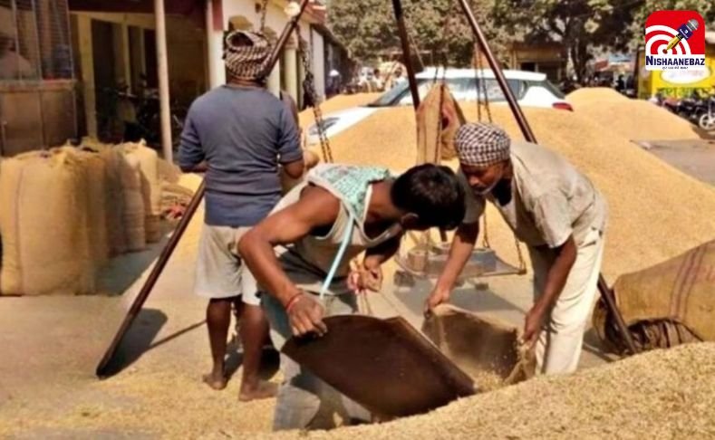 Tuhar Token App Launch : धान खरीदी का स्मार्ट एक्सेस, आज लॉन्च होगा तुहर टोकन ऐप….