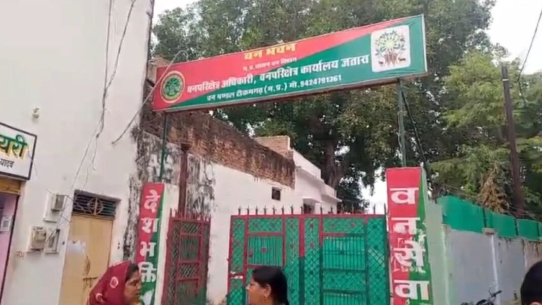 illegal saw machine : टीकमगढ़ में अवैध आरा मशीन पर वन विभाग की बड़ी कार्यवाही