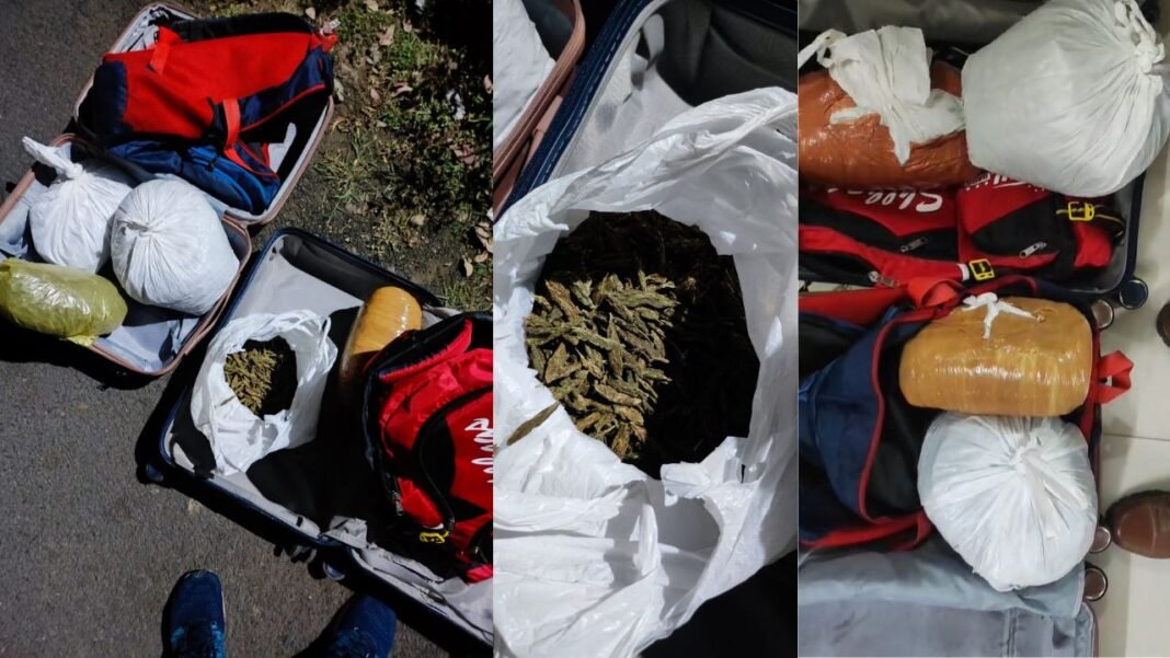 Gorakhpur News : गोरखपुर थाना पुलिस की बड़ी कार्रवाई : युवक–युवती 7 किलो 450 ग्राम गांजे के साथ गिरफ्तार