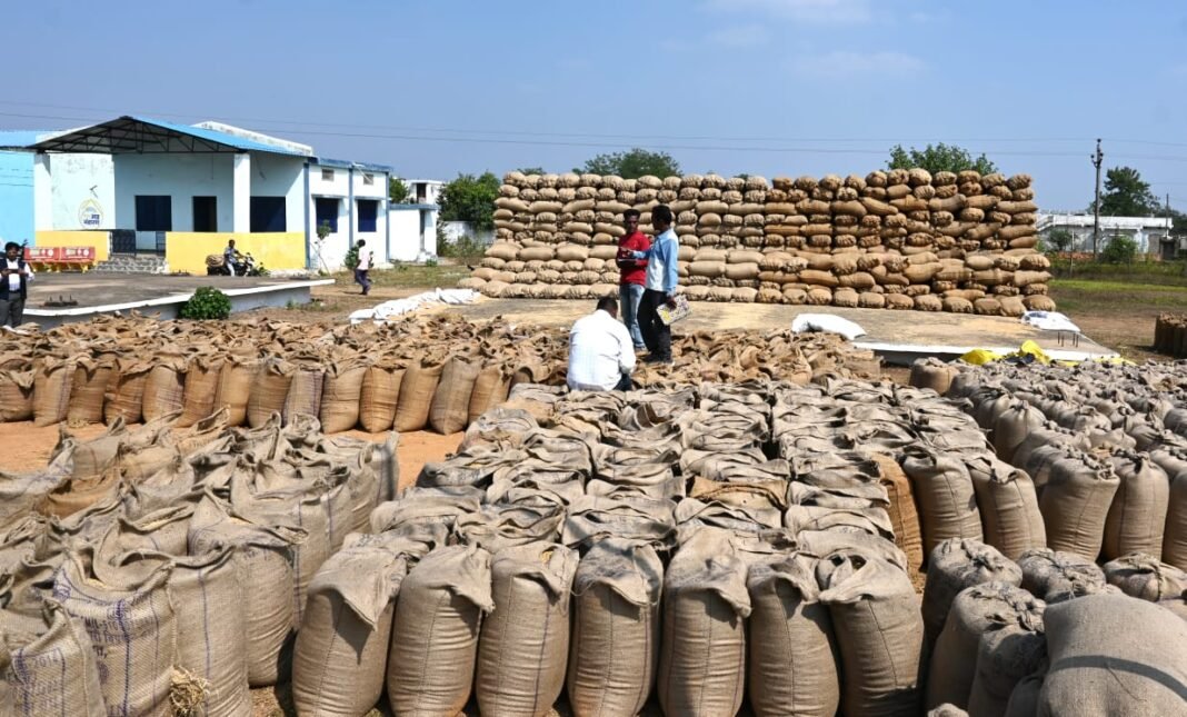 Paddy purchase : महासमुंद में धान खरीदी ने पकड़ी रफ्तार, 123 उपार्जन केंद्रों में खरीदी 1.44 लाख क्विंटल
