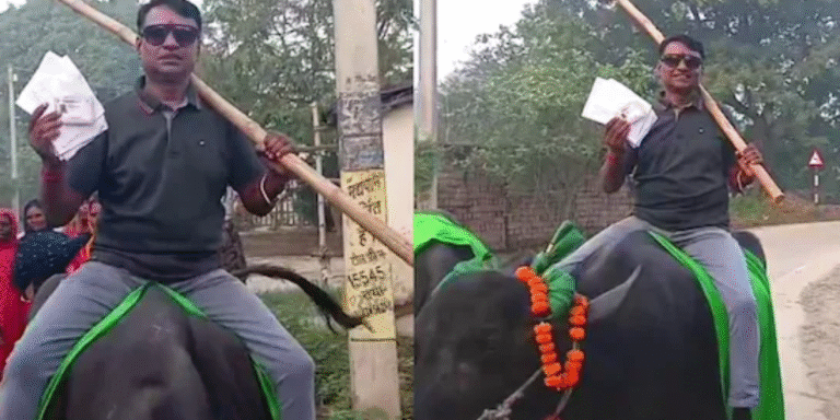 Bihar Assembly Election Voting
