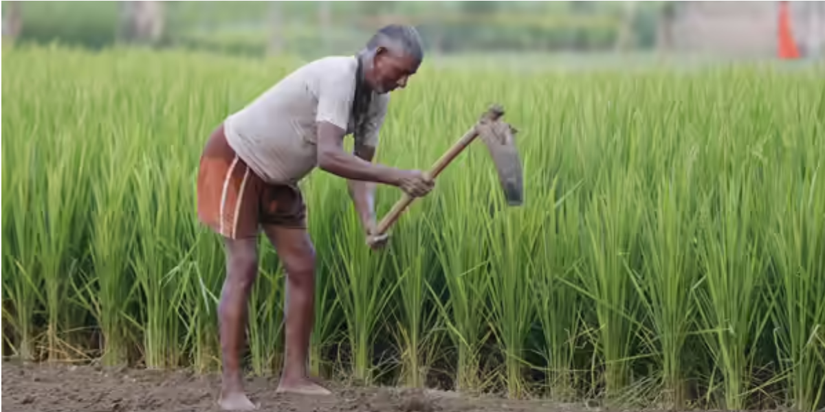 Farmer (Conceptual Photo)