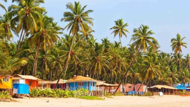goa police
