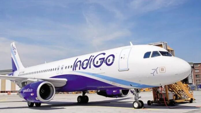 indigo