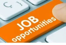 CG Job Vacancy: छत्तीसगढ़ में नौकरी का मौका! 22 सितंबर को लगेगा रोजगार मेला, 140 पदों पर भर्ती Jobs