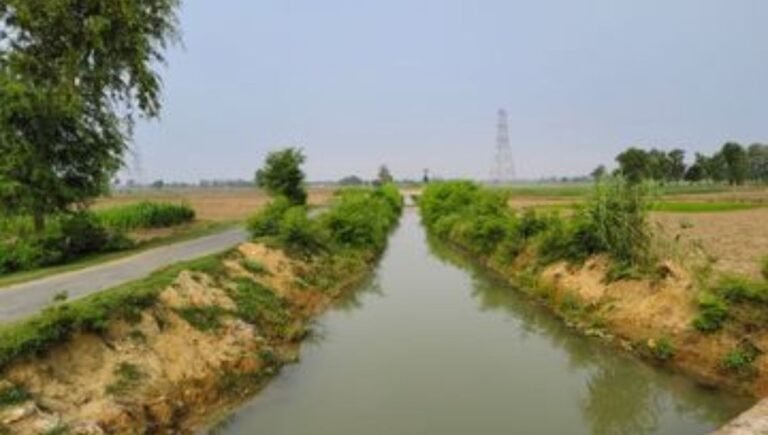 MP News : बड़वानी नहर टूटने से खेतों तक पानी नहीं पहुंच रहा, किसान परेशान