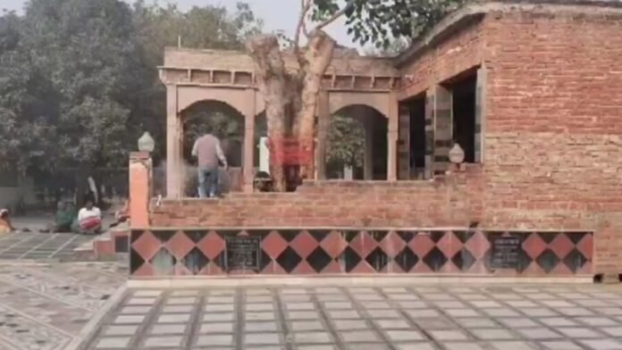 pahalwaan baba mandir pahalwaan baba mandir