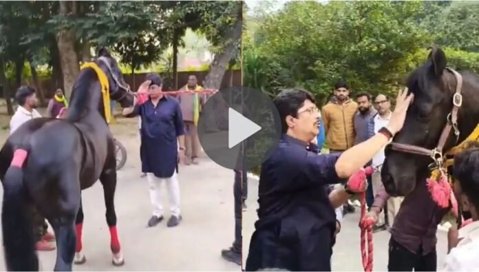 raja bhaiya raja bhaiya