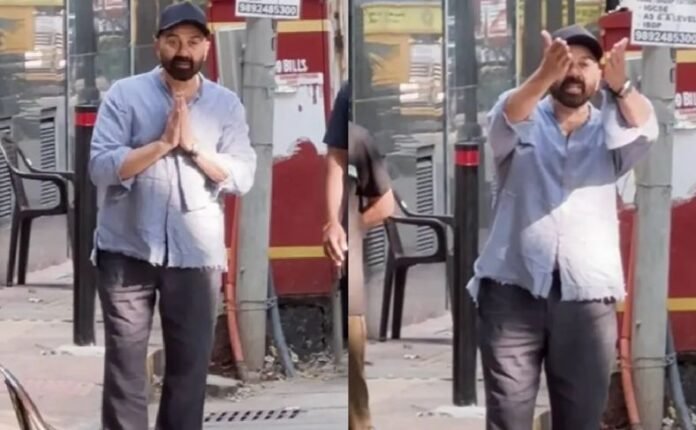 sunny deol sunny deol