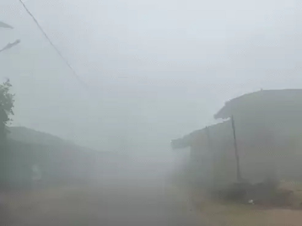 Weather Update : MP में ठंड का कोहराम! लुढ़का पारा, 9 जिलों में शीतलहर की चेतावनी