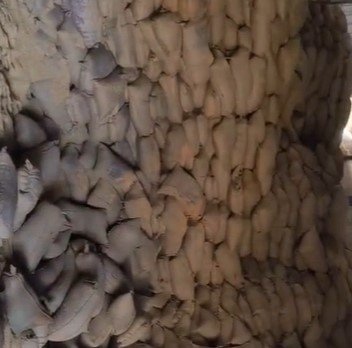 CG NEWS : दीपक एग्रोटेक राइस मिल पर बड़ी कार्रवाई, 1326.60 क्विंटल अवैध चावल जब्त