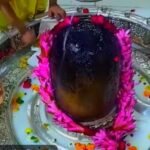 Mahakaleshwar Bhasma Aarti Ujjain