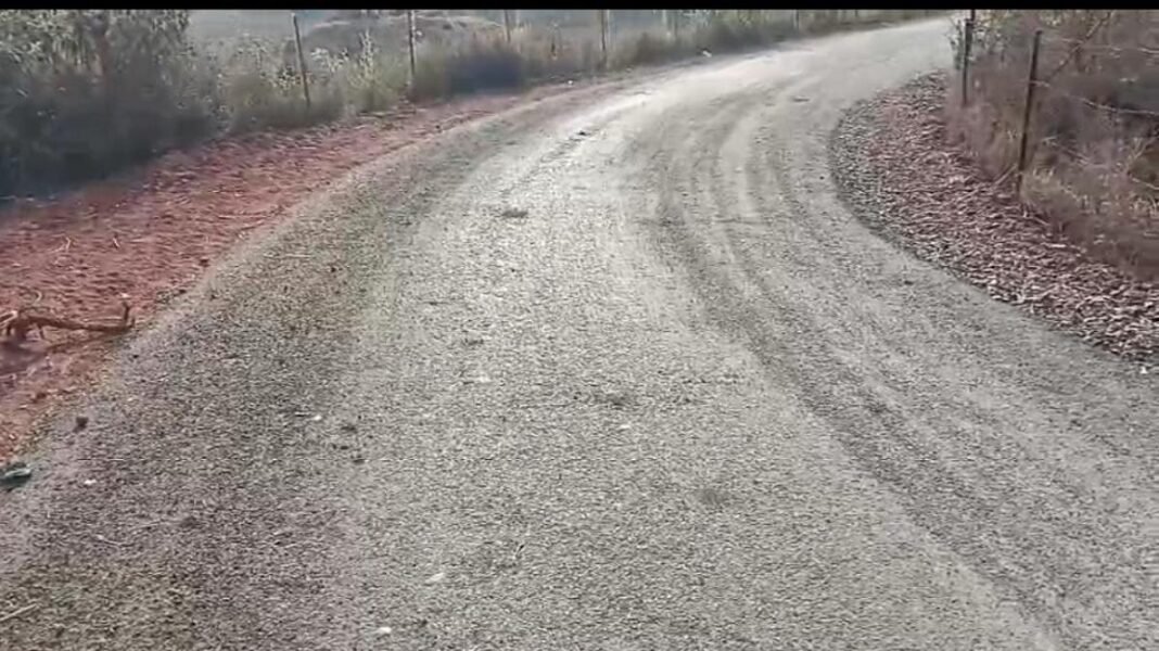 Mungeli News: ठेकेदार की मनमानी: 2.5 किमी सड़क पर 67 लाख खर्च, पखवाड़ेभर में उखड़ने लगा डामर — ग्रामीण बोले, विरोध के बावजूद रातों-रात कराया काम