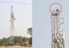 Korba Mobile Tower Drama : नशे में युवक का हाई वोल्टेज ड्रामा, पत्नी से झगड़े के बाद चढ़ा मोबाइल टावर पर KORBA