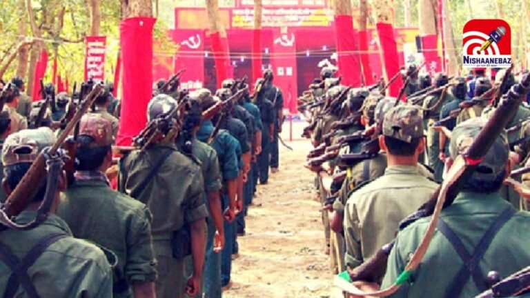 Bijapur Naxal Murder : सुकमा में सरेंडर कर गांव लौटा था बुधरा, देर रात घर में घुसकर हमलावरों ने की हत्या