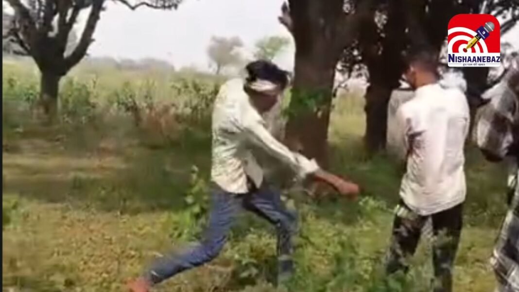 Young hostage brutally beaten : रीवा के डीही गांव में युवक को बंधक बनाकर बेल्ट से बेरहमी से पीटा, मारपीट का वीडियो सोशल मीडिया पर वायरल