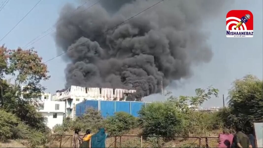 Indore Fire News : इंदौर में भीषण अग्निकांड : लसुड़िया स्थित चॉकलेट फैक्ट्री में भड़की आग, लाखों का माल स्वाहा