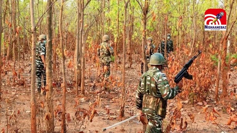 Materials for making weapons : जंगलों में छिपाई गई थी हथियार बनाने की सामग्री : बीजापुर पुलिस और अर्धसैनिक बलों ने टाली बड़ी अनहोनी