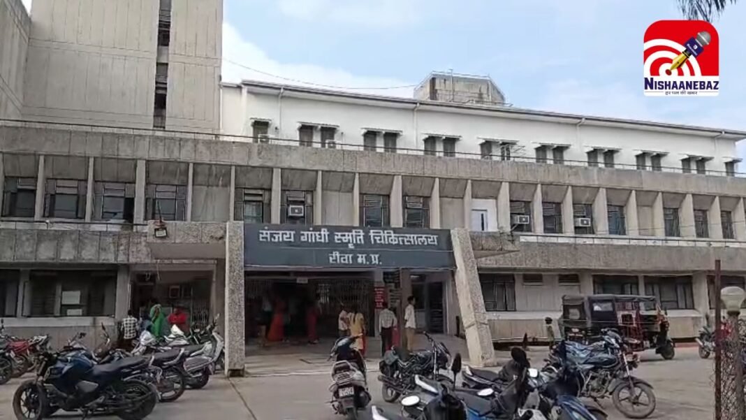 terror of jackal : सियार काटने से बुजुर्ग महिला की मौत, गोविंदगढ़ थाना क्षेत्र के गांव में सियार का आतंक, वन विभाग जांच में जुटा