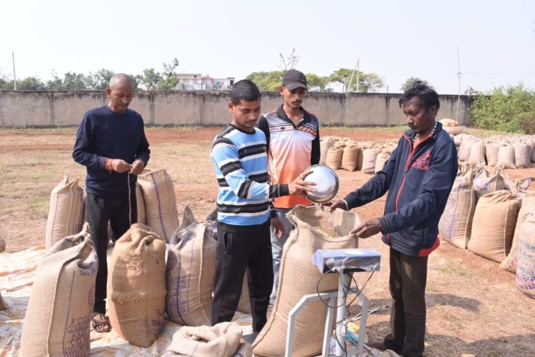 Paddy procurement mega campaign : 34 हजार से अधिक किसानों से 409 करोड़ रुपये से ज्यादा का धान खरीदा गया