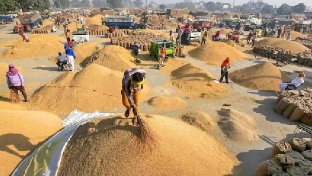 C.G News : धान खरीदी सिस्टम फेल? बिना वेतन हटाए 140 ऑपरेटर, अब भटक रहे न्याय के लिए… क्या सरकार खेल रही युवाओं के भविष्य से ?