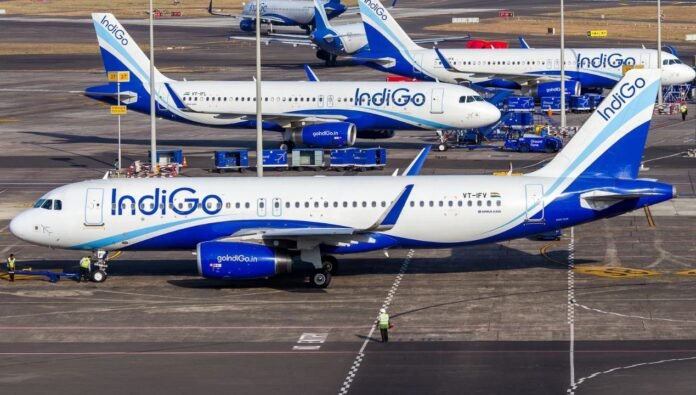 indigo indigo