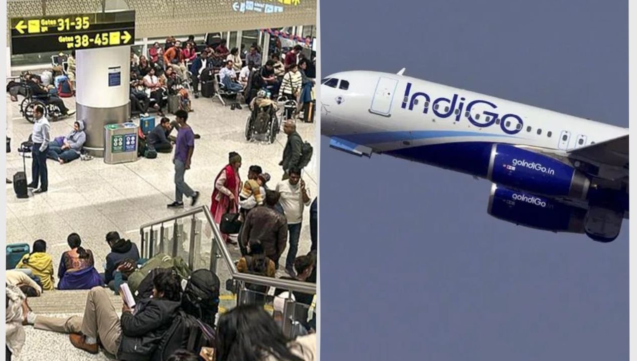 indigo