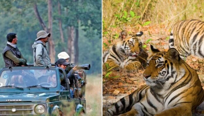 tiger reserve