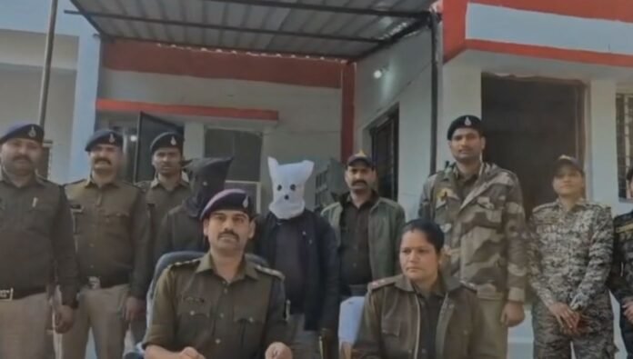 tikamgarh tikamgarh