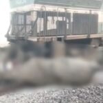 train