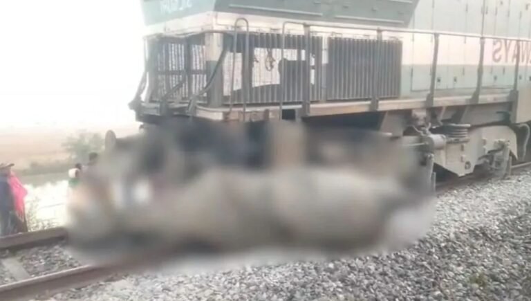 train