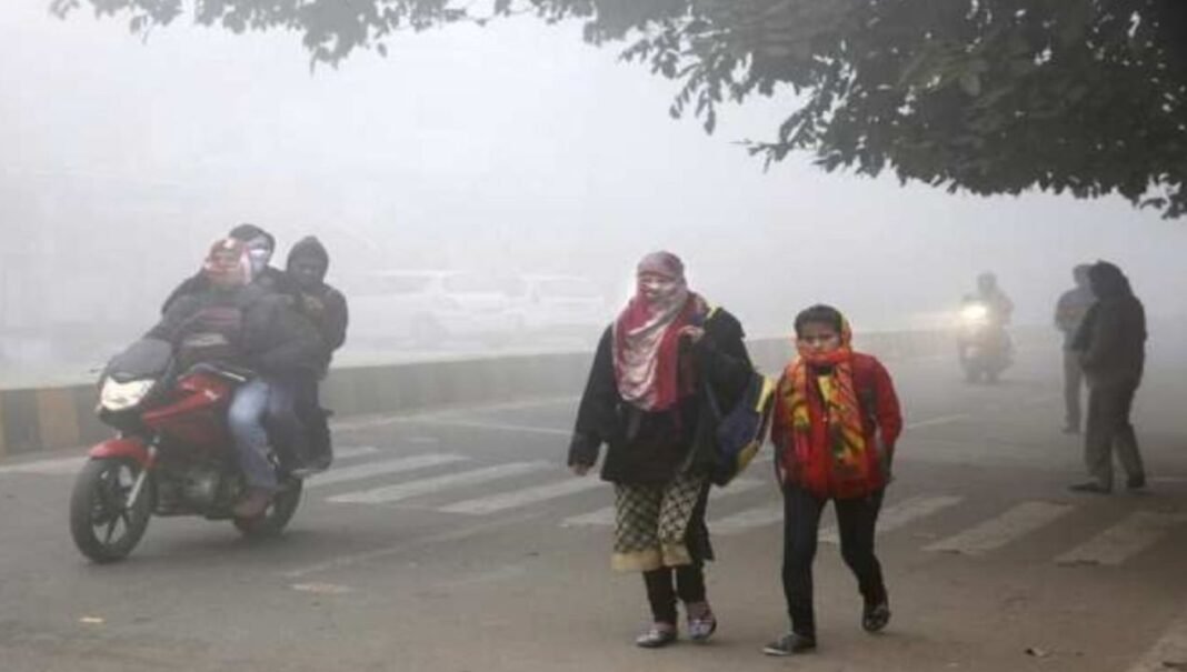 M.P Weather : मध्य प्रदेश में कड़कड़ाती ठंड! कोहरे के कारण रेल यातायात लड़खड़ाया, कई ट्रेनें घंटों लेट