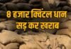 CG NEWS : खुले आसमान के नीचे सड़ती रही करोड़ों की धान, कस्टम मिलिंग में देरी से 8 हजार क्विंटल अनाज हुआ खराब CG NEWS