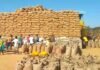 C.G News : गरियाबंद में बोगस धान खरीदी पर लगाम, लेकिन किसानों की खरीदी प्रभावित, सरकार की पूर्व तैयारी पड़ी कमजोर