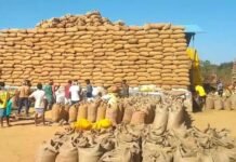CG Dhan Kharidi 2026: धान खरीदी से पहले किसानों को बड़ी राहत, सह-खातेदारों का पंजीयन खत्म