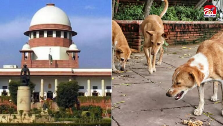 Stray Dogs Case : आवारा कुत्तों पर SC की सख्त टिप्पणी, शेल्टर की कमी पर जताई गंभीर चिंता