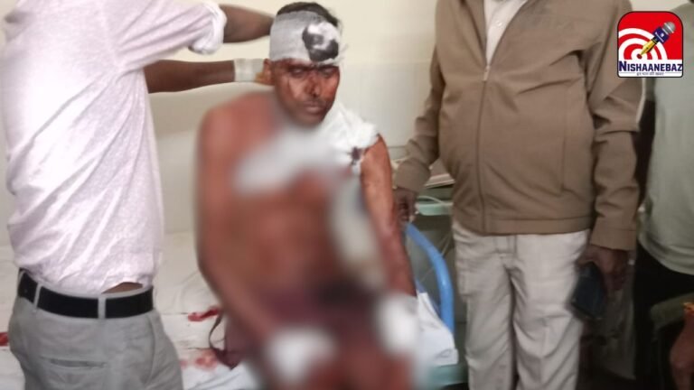 Balrampur Bear Attack News : मवेशी चरा रहे ग्रामीणों पर झपटा जंगली भालू: राजपुर वन परिक्षेत्र में मची अफरा-तफरी, दो घायल