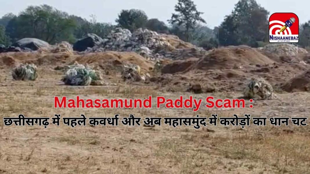 Mahasamund Paddy Scam : छत्तीसगढ़ में चूहों के हौसले बुलंद: पहले कवर्धा और अब महासमुंद में करोड़ों का धान चट, जांच रिपोर्ट ने खोली पोल